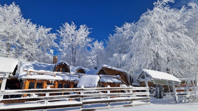 Šumski Gastrobar- Crni vrh